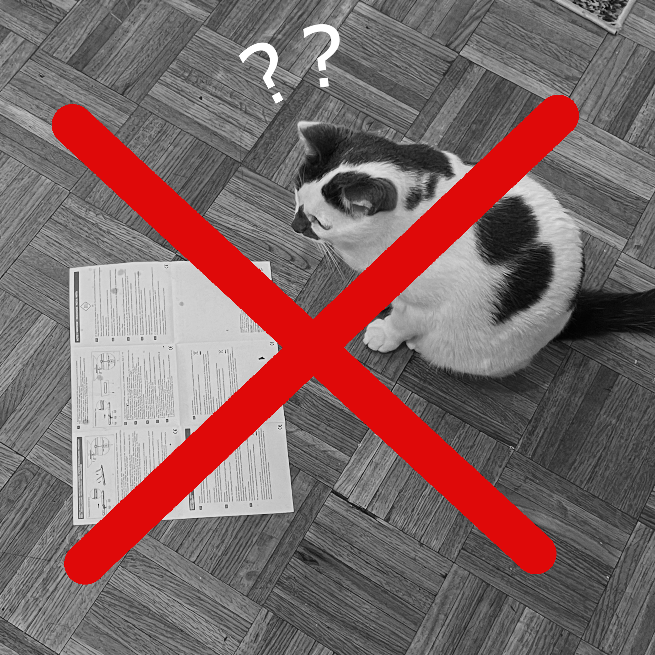 A confused cat staring down a poorly-written instruction manual